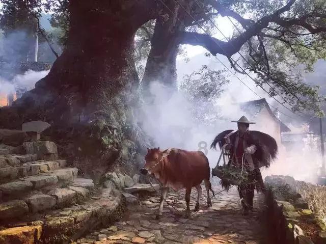 轻松逃生